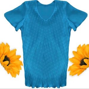 NWT pleated layered chiffon blouse. V-neck Short sleeve Shirt Gift